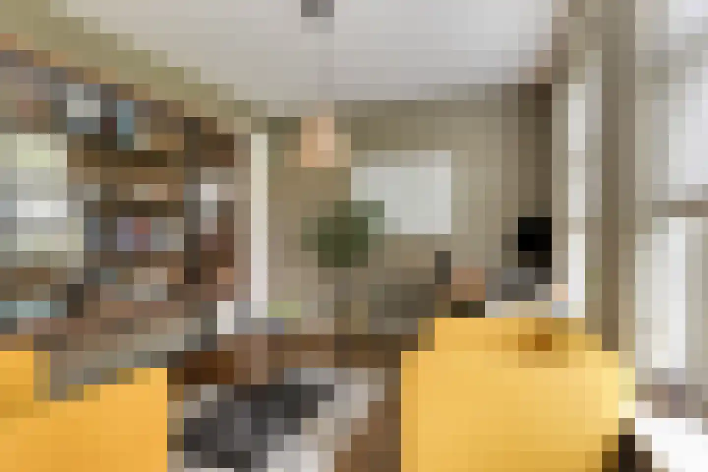 Suze Groenewegstraat 4 Strijensas thumbnail 16