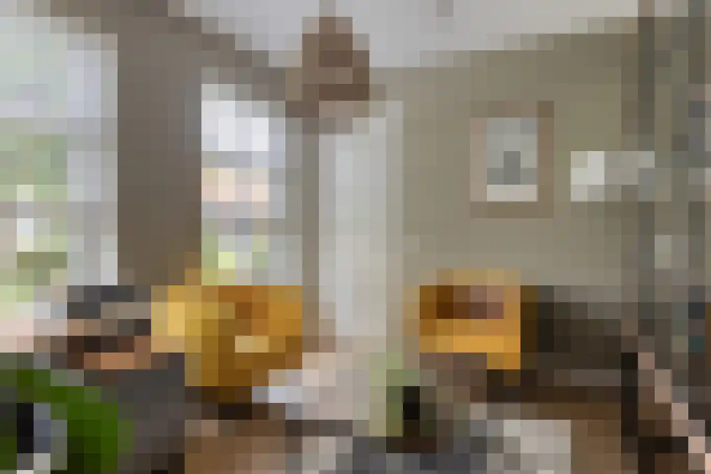 Suze Groenewegstraat 4 Strijensas thumbnail 17
