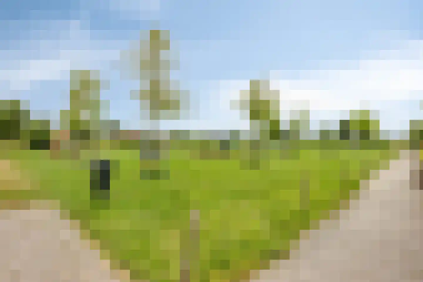 Suze Groenewegstraat 4 Strijensas thumbnail 48