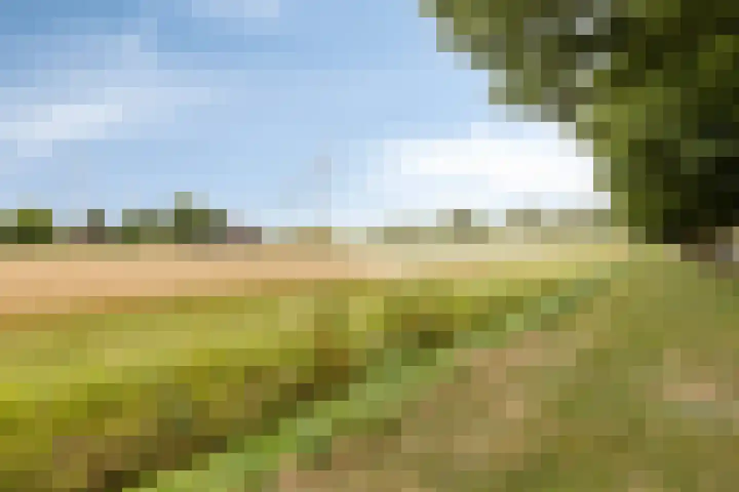 Suze Groenewegstraat 4 Strijensas thumbnail 49