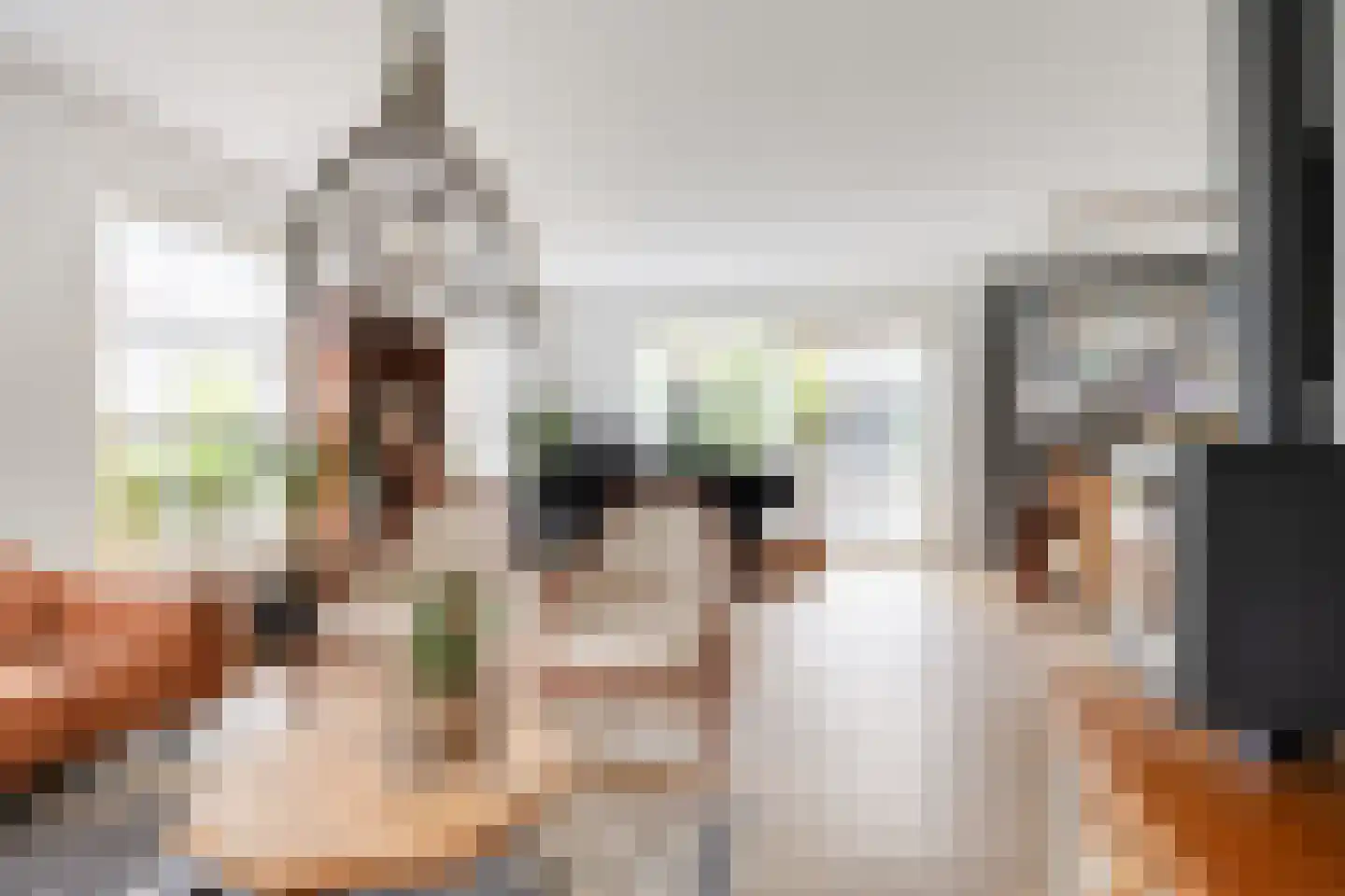 Suze Groenewegstraat 4 Strijensas thumbnail 8