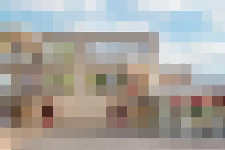 Suze Groenewegstraat 46 Tiel thumbnail 24