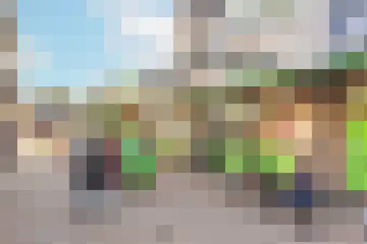 Suze Groenewegstraat 46 Tiel thumbnail 27