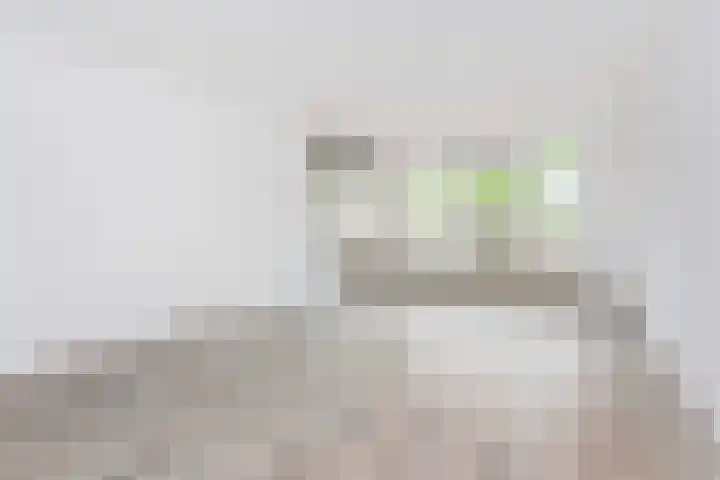 Suze Groenewegstraat 46 Tiel thumbnail 6