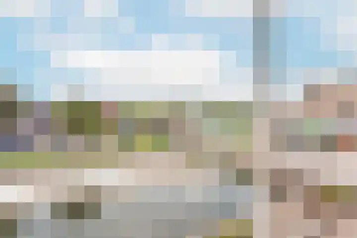 Suze Groenewegstraat 56 Tiel thumbnail 10