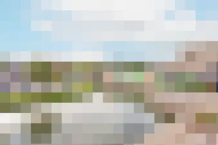 Suze Groenewegstraat 56 Tiel thumbnail 12
