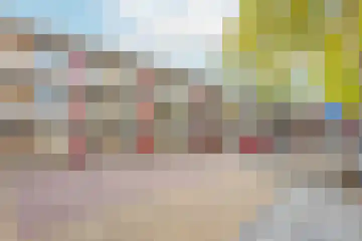 Suze Groenewegstraat 56 Tiel thumbnail 27