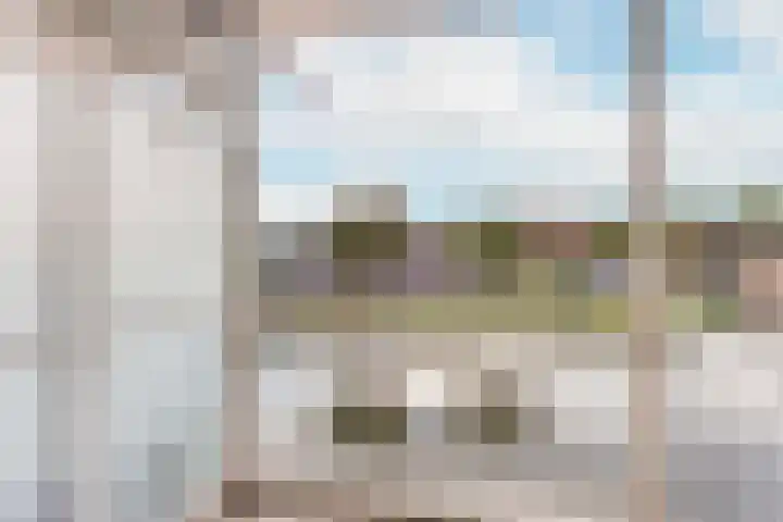 Suze Groenewegstraat 56 Tiel thumbnail 9