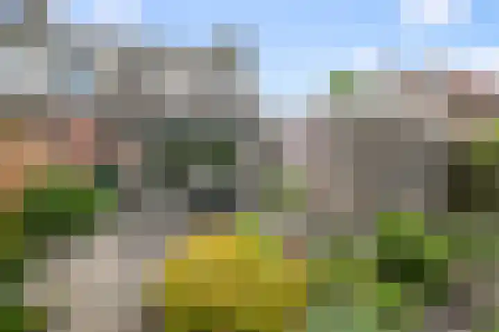 Suze Groenewegstraat 59 Alkmaar thumbnail 26