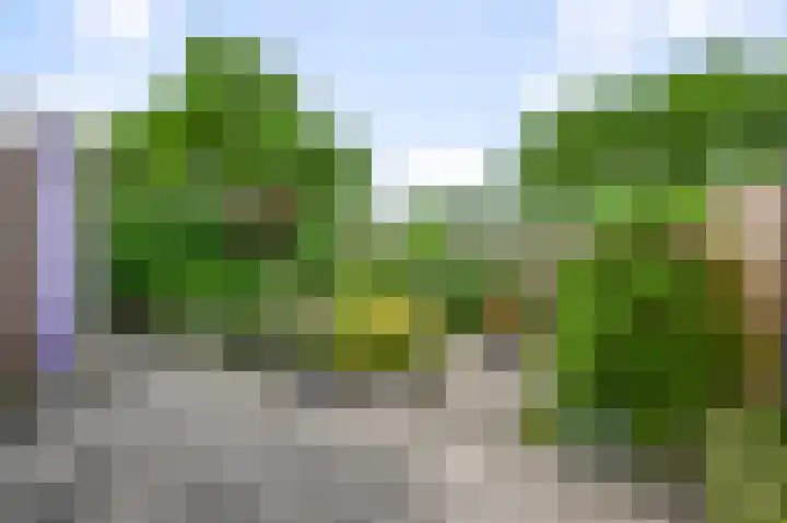 Suze Groenewegstraat 59 Alkmaar thumbnail 27