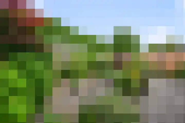Suze Groenewegstraat 59 Alkmaar thumbnail 28