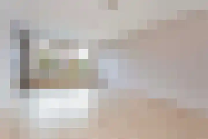 Suze Groenewegstraat 60 Tiel thumbnail 6