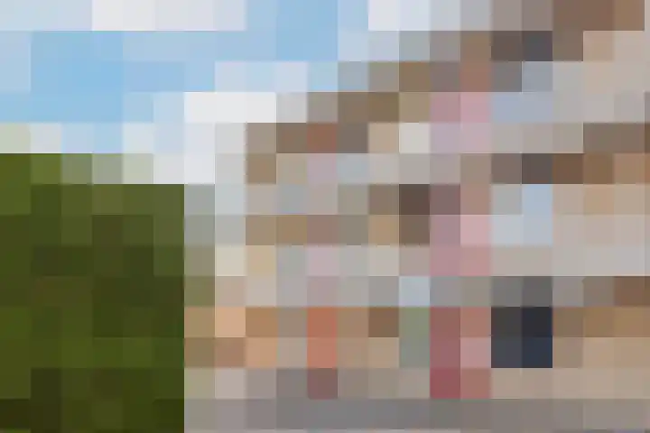 Suze Groenewegstraat 62 Tiel thumbnail 28