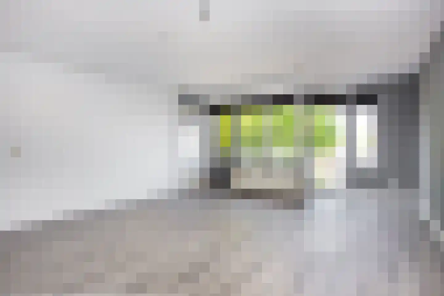 Suze Groenewegstraat 68 Tiel thumbnail 4