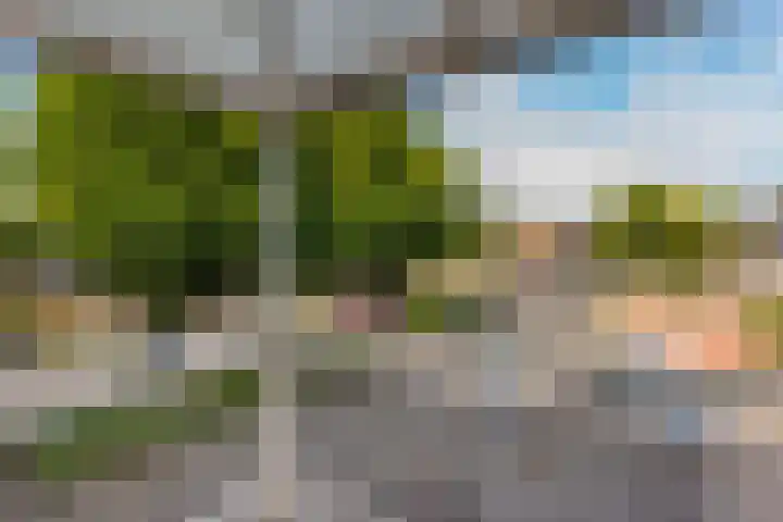 Suze Groenewegstraat 70 Tiel thumbnail 11