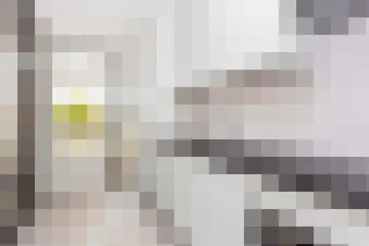 Suze Groenewegstraat 70 Tiel thumbnail 8
