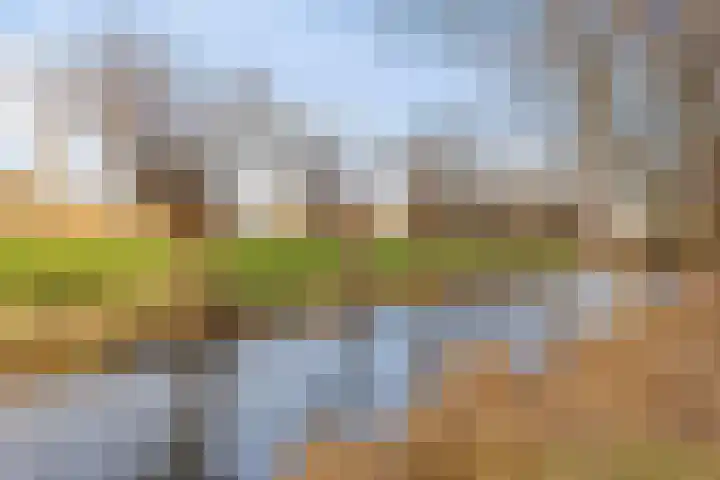 Suze Groenewegstraat 91 Purmerend thumbnail 38