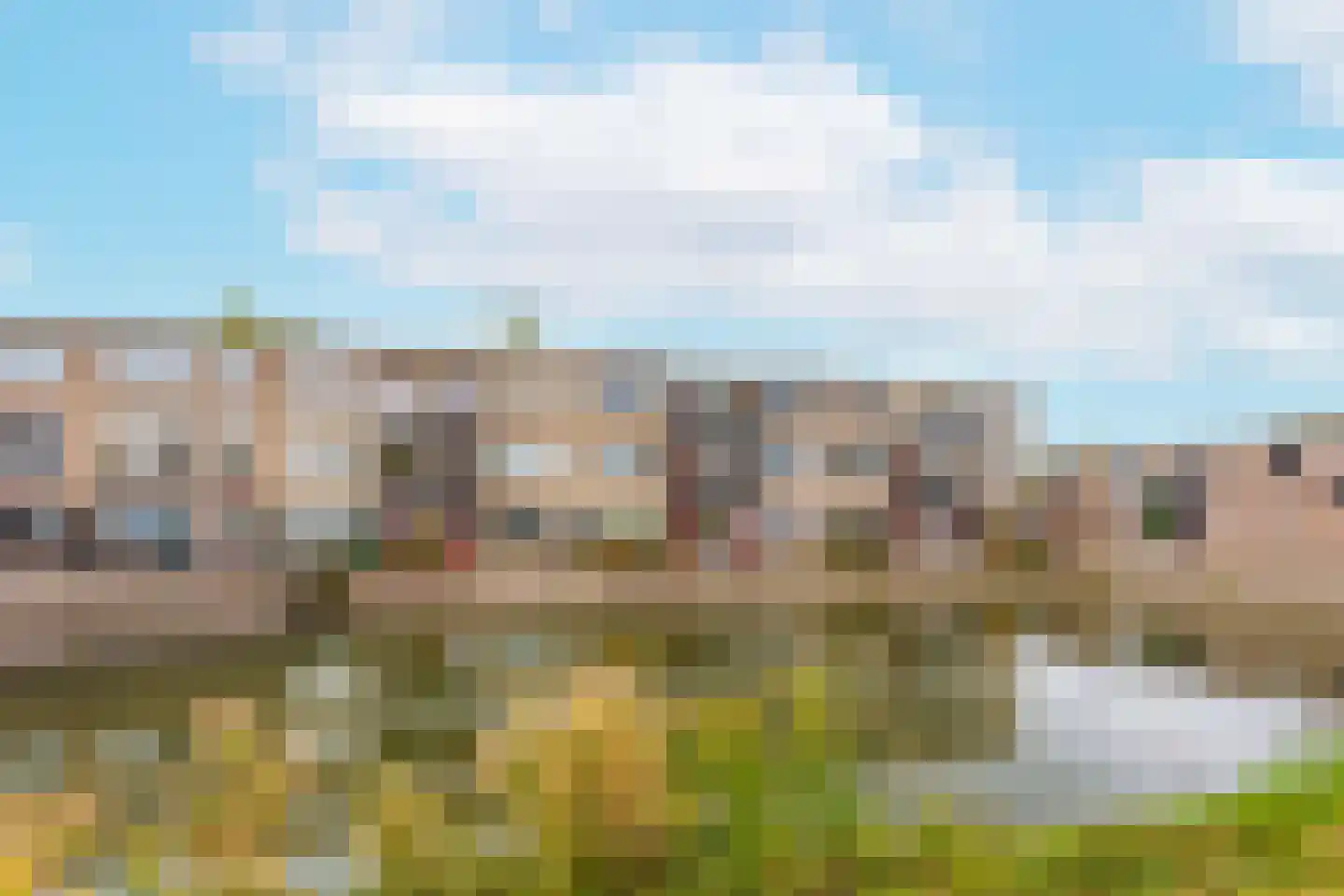 Suze Groenewegstraat 92 Tiel thumbnail 35