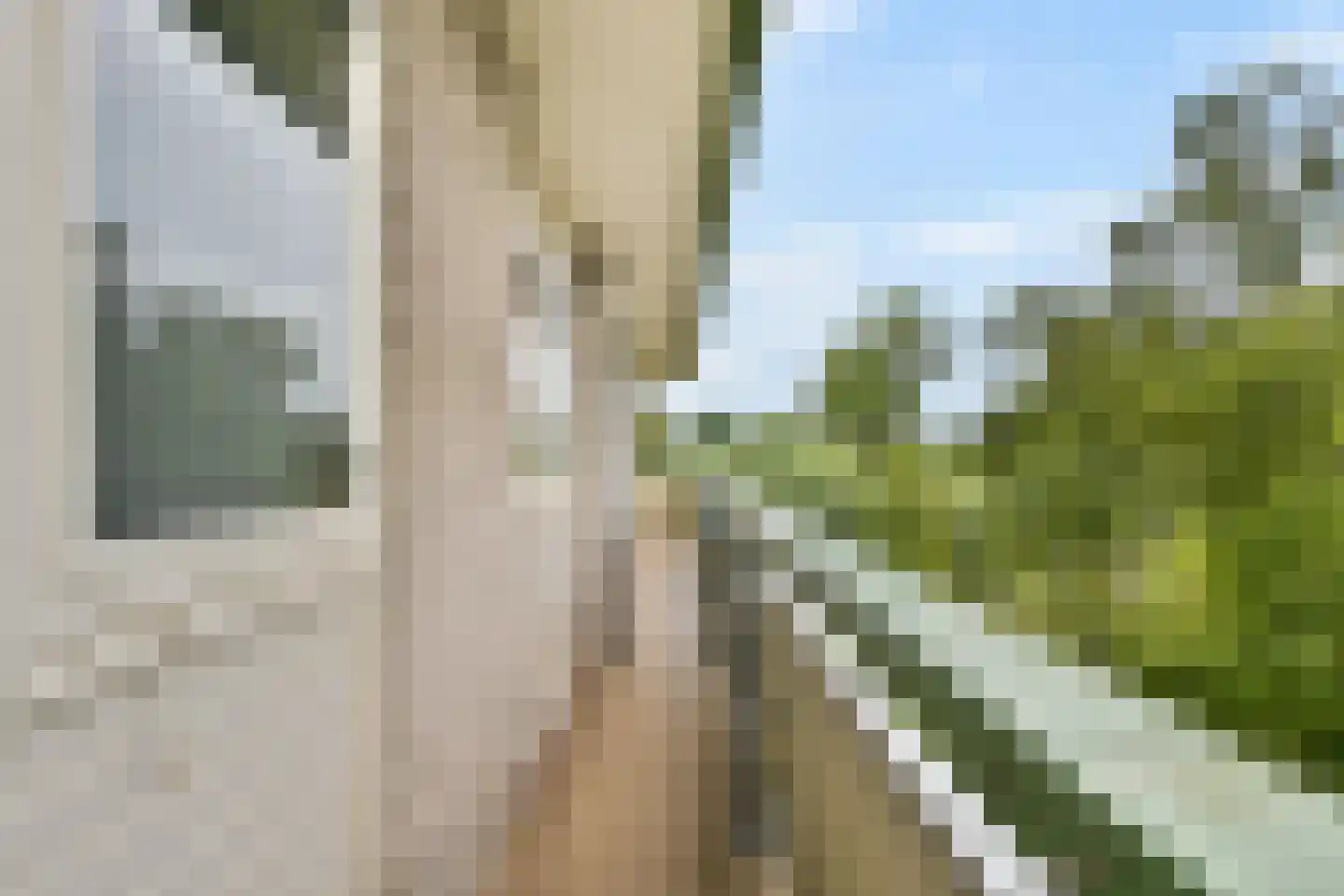 Suze Groenewegstraat 99 Purmerend thumbnail 14
