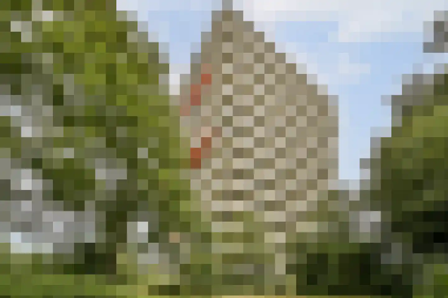 Suze Groenewegstraat 99 Purmerend thumbnail 6