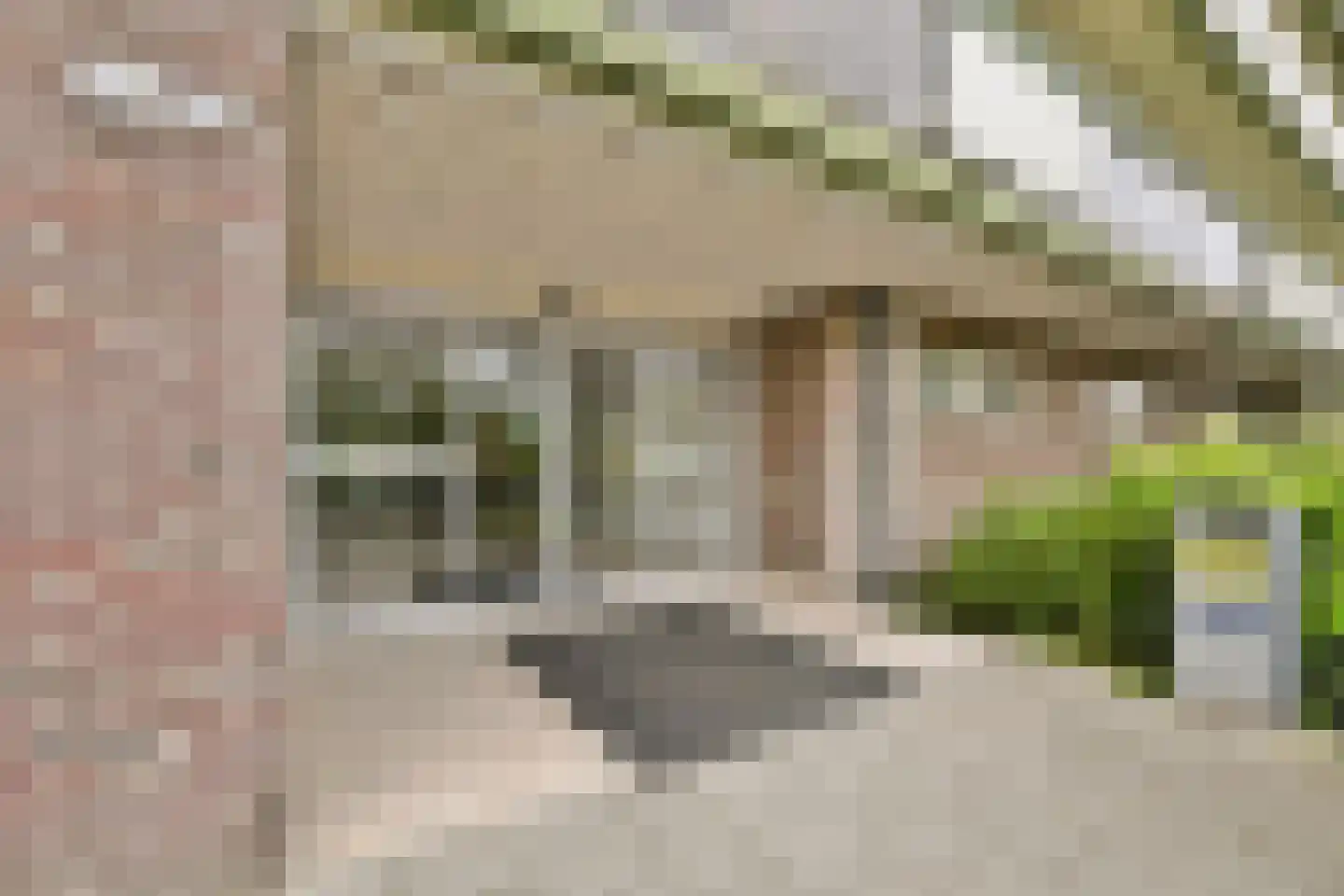 Suze Groenewegstraat 99 Purmerend thumbnail 7