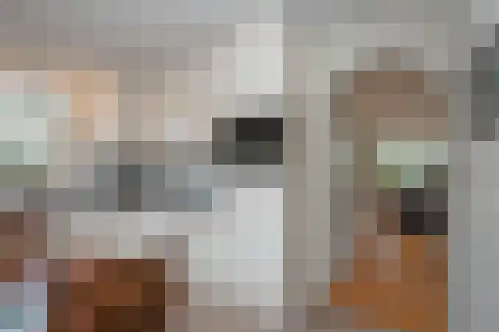 Suze Robertsonlaan 12 Enschede thumbnail 18