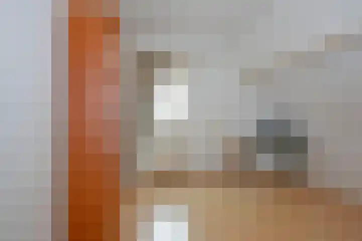 Suze Robertsonlaan 12 Enschede thumbnail 24