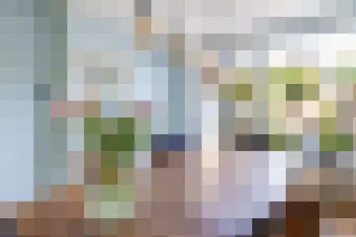 Suze Robertsonlaan 15 Almelo thumbnail 11