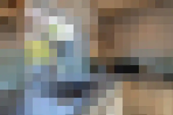 Suze Robertsonlaan 15 Almelo thumbnail 12