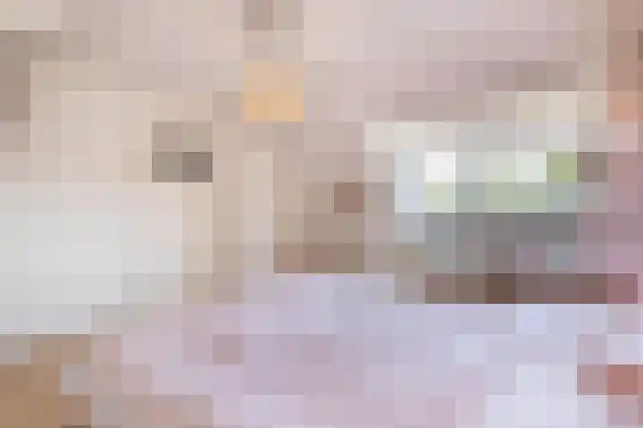 Suze Robertsonlaan 15 Almelo thumbnail 24