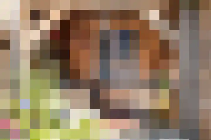 Suze Robertsonlaan 15 Almelo thumbnail 29