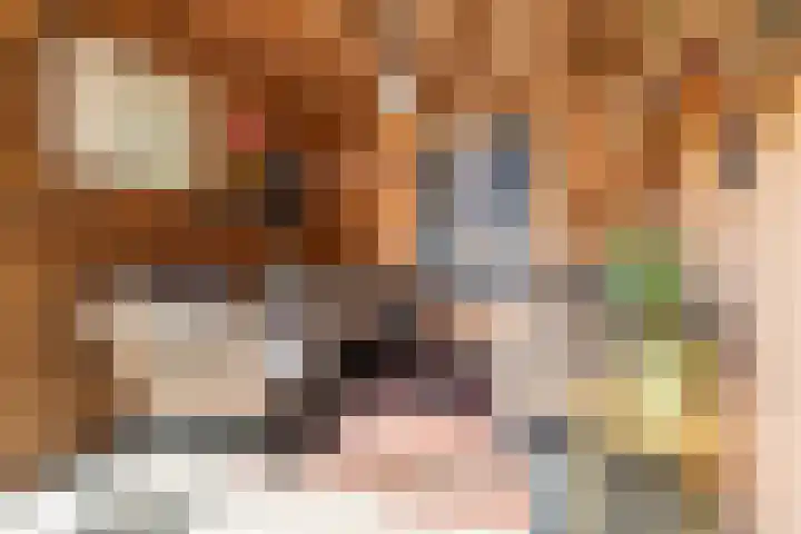 Suze Robertsonlaan 15 Almelo thumbnail 30