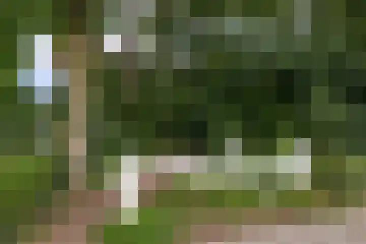 Suze Robertsonlaan 15 Almelo thumbnail 33