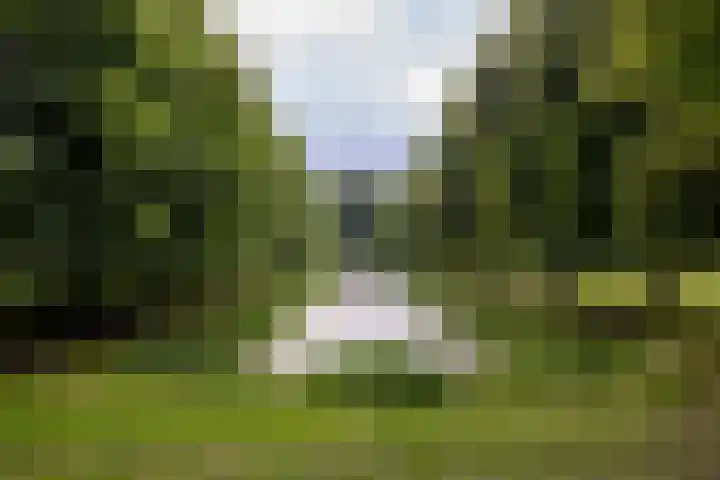 Suze Robertsonlaan 15 Almelo thumbnail 36