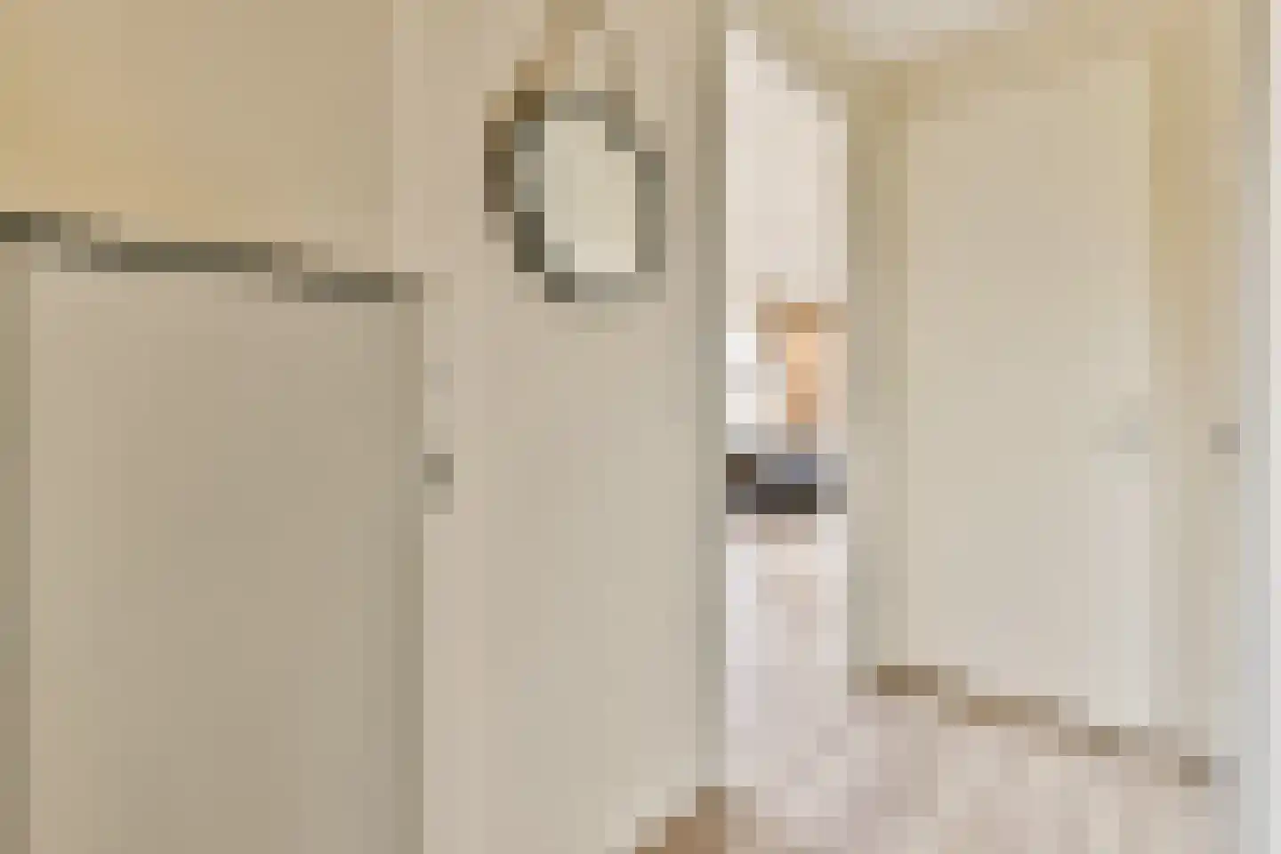 Suze Robertsonstraat 27 Amsterdam thumbnail 14