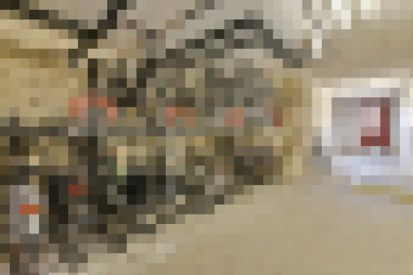 Suze Robertsonstraat 27 Amsterdam thumbnail 16