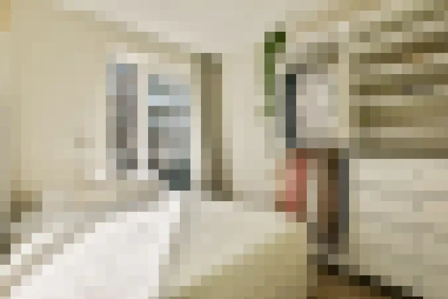 Suze Robertsonstraat 27 Amsterdam thumbnail 9