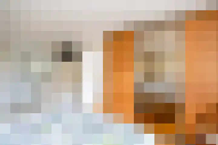 Suze Robertsonstraat 3 Venray thumbnail 22