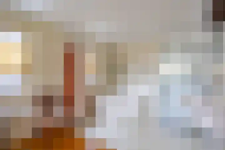 Suze Robertsonstraat 3 Venray thumbnail 23