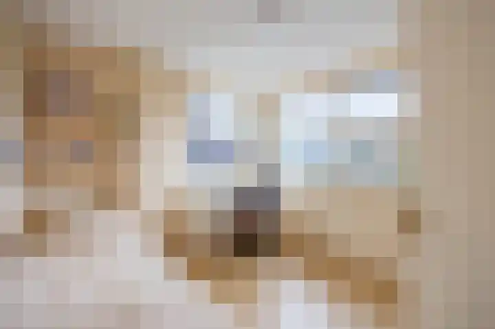 Suze Robertsonstraat 3 Venray thumbnail 27