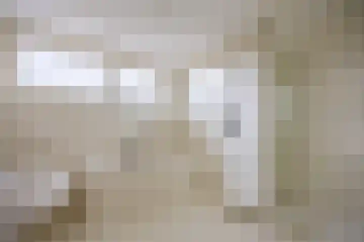 Suze Robertsonstraat 3 Venray thumbnail 31