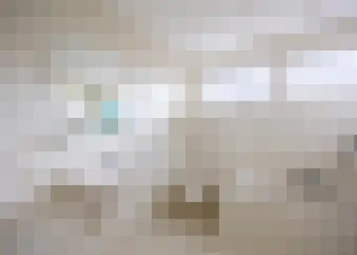 Suze Robertsonstraat 3 Venray thumbnail 32