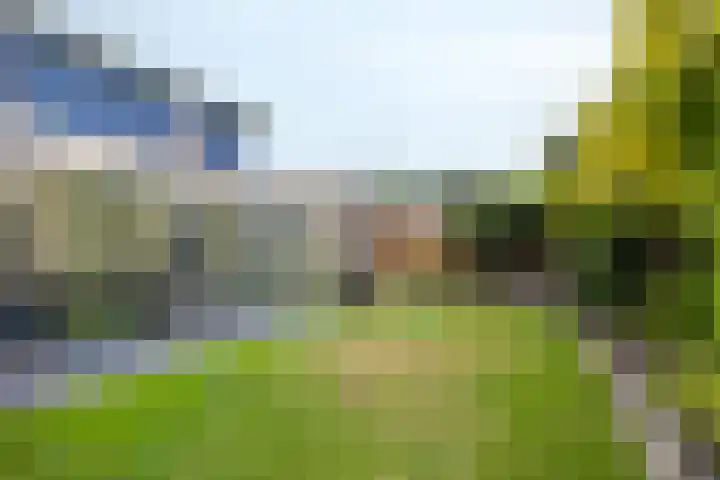 Suze Robertsonstraat 3 Venray thumbnail 37