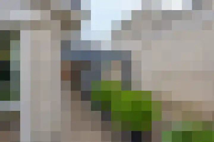 Suze Robertsonstraat 3 Venray thumbnail 40