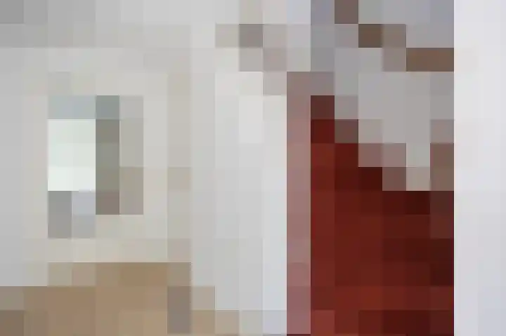 Suze Robertsonstraat 3 Venray thumbnail 7
