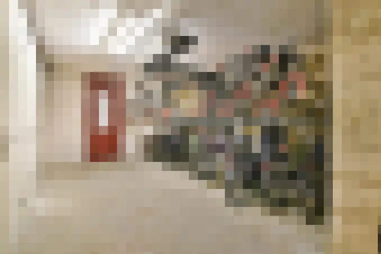 Suze Robertsonstraat 49 Amsterdam thumbnail 19