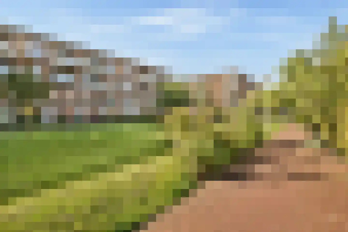 Suze Robertsonstraat 49 Amsterdam thumbnail 24