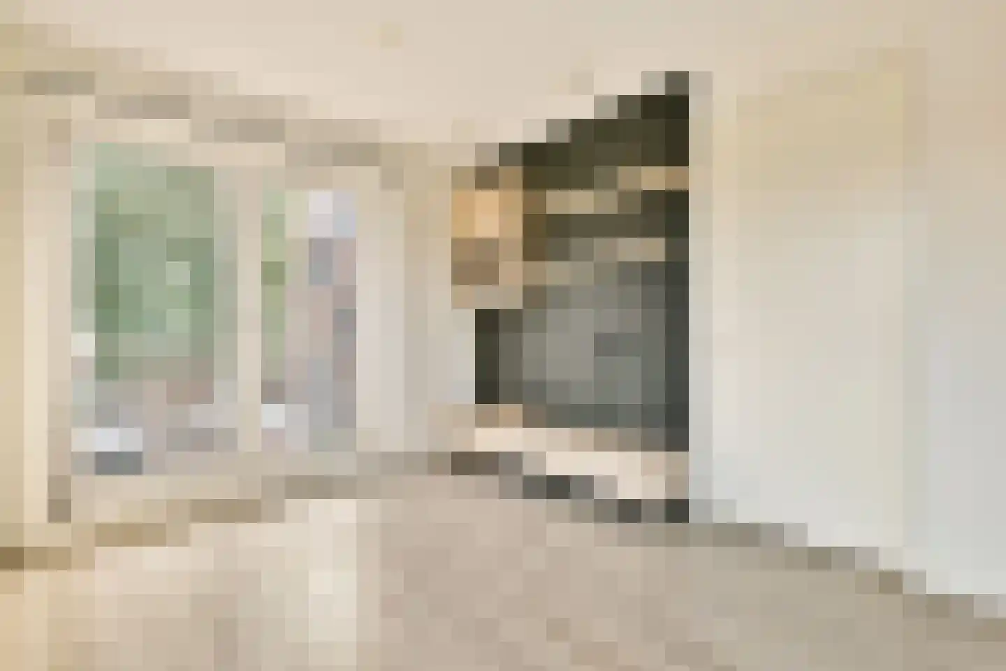Suze Robertsonstraat 49 Amsterdam thumbnail 6