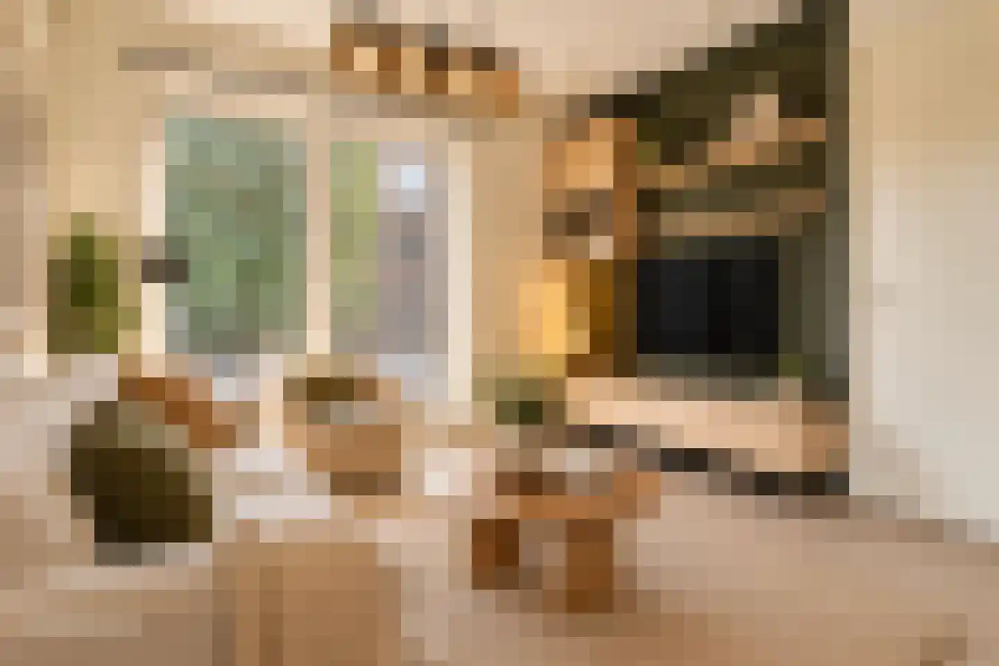 Suze Robertsonstraat 49 Amsterdam thumbnail 7