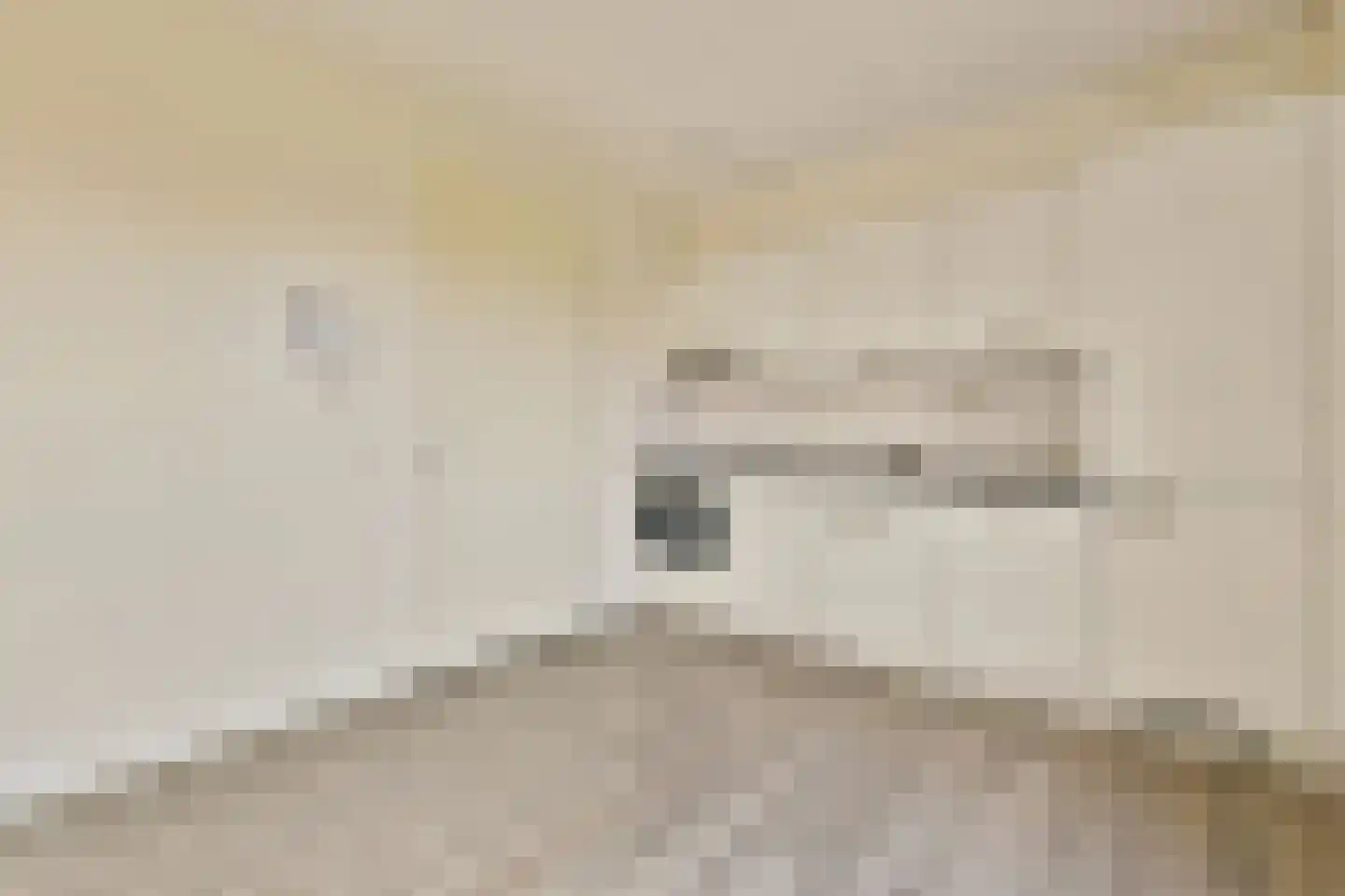 Suze Robertsonstraat 49 Amsterdam thumbnail 9